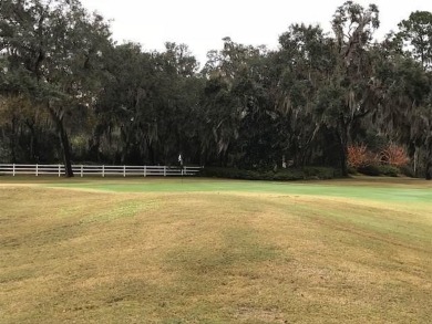 Scenic development surrounded by nature.  This lot overlooks a on Sapelo Hammock Golf Club in Georgia - for sale on GolfHomes.com, golf home, golf lot