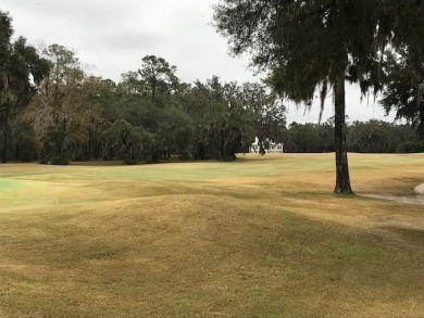 Scenic development surrounded by nature.  This lot overlooks a on Sapelo Hammock Golf Club in Georgia - for sale on GolfHomes.com, golf home, golf lot