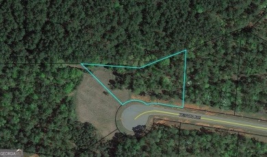 Building lot available in the beautiful River Forest gated on The Club River Forest in Georgia - for sale on GolfHomes.com, golf home, golf lot