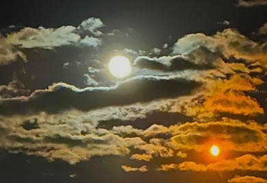 JUST REDUCED -- Don't miss this AMAZING opportunity to on Mystic Dunes Resort and Golf Club in Florida - for sale on GolfHomes.com, golf home, golf lot