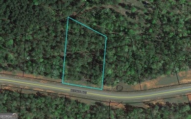 Building lot available in the beautiful River Forest gated on The Club River Forest in Georgia - for sale on GolfHomes.com, golf home, golf lot