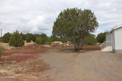 Enjoy lake living at an unbeatable price! This brand new Clayton on Silver Creek Golf Club in Arizona - for sale on GolfHomes.com, golf home, golf lot