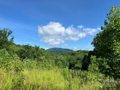 You don't have to go to West Virginia for a piece of heaven when on Rumbling Bald Resort on Lake Lure in North Carolina - for sale on GolfHomes.com, golf home, golf lot