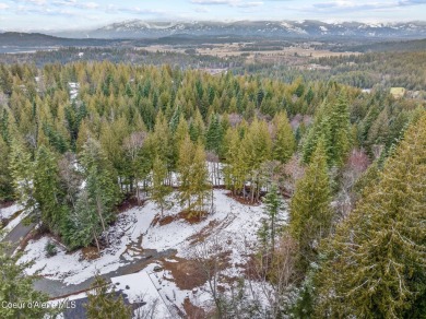 Welcome to The Alpine Vista, a modern masterpiece in Timber on The Idaho Club in Idaho - for sale on GolfHomes.com, golf home, golf lot