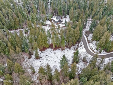 Welcome to The Alpine Vista, a modern masterpiece in Timber on The Idaho Club in Idaho - for sale on GolfHomes.com, golf home, golf lot