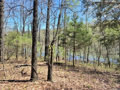 Great investment opportunity is available with this 66.77 acres on Coopers Hawk in Arkansas - for sale on GolfHomes.com, golf home, golf lot