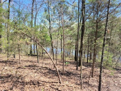 Great investment opportunity is available with this 66.77 acres on Coopers Hawk in Arkansas - for sale on GolfHomes.com, golf home, golf lot