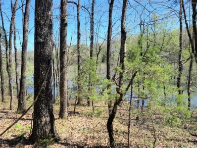 Great investment opportunity is available with this 66.77 acres on Coopers Hawk in Arkansas - for sale on GolfHomes.com, golf home, golf lot