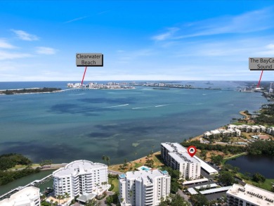 Under contract-accepting backup offers. One or more photo(s) has on Belleair Country Club in Florida - for sale on GolfHomes.com, golf home, golf lot