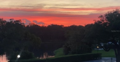 Under contract-accepting backup offers. One or more photo(s) has on Belleair Country Club in Florida - for sale on GolfHomes.com, golf home, golf lot