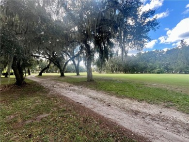 Gorgeous Lot on the Golf Course in Sutherland Bluff! Wonderful on Sapelo Hammock Golf Club in Georgia - for sale on GolfHomes.com, golf home, golf lot