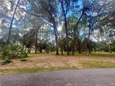 Gorgeous Lot on the Golf Course in Sutherland Bluff! Wonderful on Sapelo Hammock Golf Club in Georgia - for sale on GolfHomes.com, golf home, golf lot