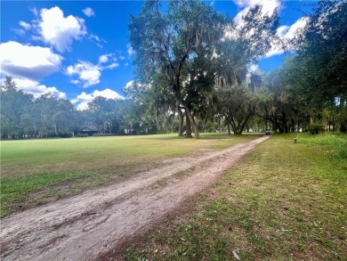 Gorgeous Lot on the Golf Course in Sutherland Bluff! Wonderful on Sapelo Hammock Golf Club in Georgia - for sale on GolfHomes.com, golf home, golf lot