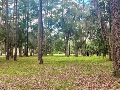 Gorgeous Lot on the Golf Course in Sutherland Bluff! Wonderful on Sapelo Hammock Golf Club in Georgia - for sale on GolfHomes.com, golf home, golf lot