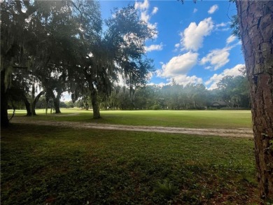 Gorgeous Lot on the Golf Course in Sutherland Bluff! Wonderful on Sapelo Hammock Golf Club in Georgia - for sale on GolfHomes.com, golf home, golf lot