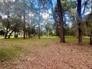 Gorgeous Lot on the Golf Course in Sutherland Bluff! Wonderful on Sapelo Hammock Golf Club in Georgia - for sale on GolfHomes.com, golf home, golf lot