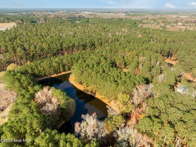 Build your dream home on this .27-acre homesite in the desirable on River Landing Golf Course in North Carolina - for sale on GolfHomes.com, golf home, golf lot