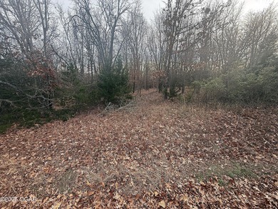 Enjoy a relaxing lifestyle with luxury perks surrounded by on The Bald Eagle Course At Eagle Creek Golf Club in Missouri - for sale on GolfHomes.com, golf home, golf lot