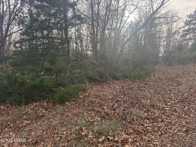 Enjoy a relaxing lifestyle with luxury perks surrounded by on The Bald Eagle Course At Eagle Creek Golf Club in Missouri - for sale on GolfHomes.com, golf home, golf lot