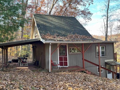 Parking for 3 cars. Very secluded panoramic view of lake on Lake Floyd Golf Club, Inc. in West Virginia - for sale on GolfHomes.com, golf home, golf lot