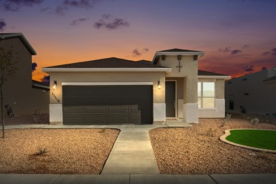 Texas Olive Floorplan in Campo del Sol - Spacious & Modern on Painted Dunes Desert Golf Course in Texas - for sale on GolfHomes.com, golf home, golf lot