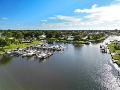 Welcome to your dream home in the highly sought-after Englewood on Boca Royale Golf and Country Club in Florida - for sale on GolfHomes.com, golf home, golf lot