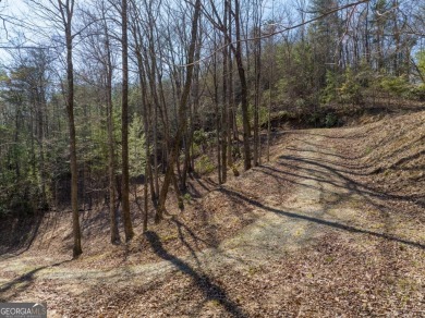 Welcome to your slice of mountain paradise at Buckhorn Estates! on White Path Golf Club in Georgia - for sale on GolfHomes.com, golf home, golf lot