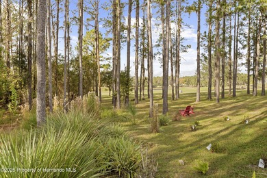 Welcome to this exceptional 2024 Arthur Rutenberg home on Southern Hills Plantation Club in Florida - for sale on GolfHomes.com, golf home, golf lot