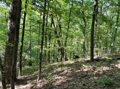 Fantastic easy build 1.16 acre lot located in the Wildcat on Big Canoe Golf Club - Cherokee in Georgia - for sale on GolfHomes.com, golf home, golf lot
