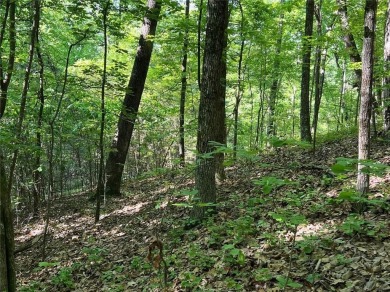 Fantastic easy build 1.16 acre lot located in the Wildcat on Big Canoe Golf Club - Cherokee in Georgia - for sale on GolfHomes.com, golf home, golf lot
