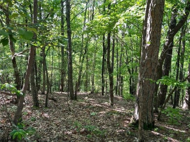 Fantastic easy build 1.16 acre lot located in the Wildcat on Big Canoe Golf Club - Cherokee in Georgia - for sale on GolfHomes.com, golf home, golf lot