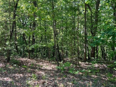 Fantastic easy build 1.16 acre lot located in the Wildcat on Big Canoe Golf Club - Cherokee in Georgia - for sale on GolfHomes.com, golf home, golf lot