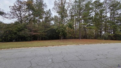 *~ Create Your Ideal Home in a Premier Golf Course Community ~ on Landings Golf Club in Georgia - for sale on GolfHomes.com, golf home, golf lot