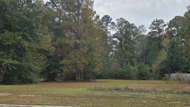 **Build Your Dream Home in an Exclusive Golf Course Community on Landings Golf Club in Georgia - for sale on GolfHomes.com, golf home, golf lot