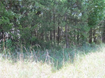 Semi-level building lot on side street at Holiday Island. Just a on Holiday Island Golf Course in Arkansas - for sale on GolfHomes.com, golf home, golf lot