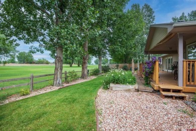 Jeremy Rediger, Keller Williams Realty Southwest Associates, LLC on Black Canyon Golf Club At Montrose in Colorado - for sale on GolfHomes.com, golf home, golf lot