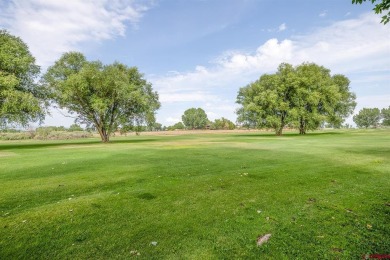 Jeremy Rediger, Keller Williams Realty Southwest Associates, LLC on Black Canyon Golf Club At Montrose in Colorado - for sale on GolfHomes.com, golf home, golf lot