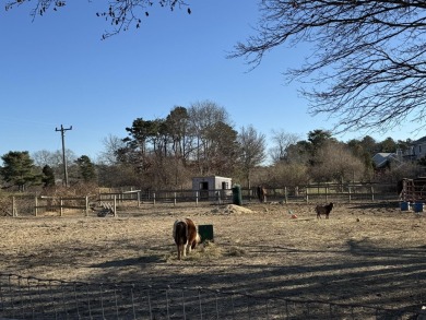 Charming 1-Acre Animal Farm with Ranch-Style Home, Barn - on Falmouth Country Club and Golf Courses in Massachusetts - for sale on GolfHomes.com, golf home, golf lot