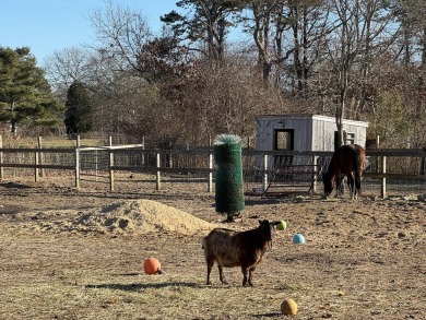 Charming 1-Acre Animal Farm with Ranch-Style Home, Barn - on Falmouth Country Club and Golf Courses in Massachusetts - for sale on GolfHomes.com, golf home, golf lot