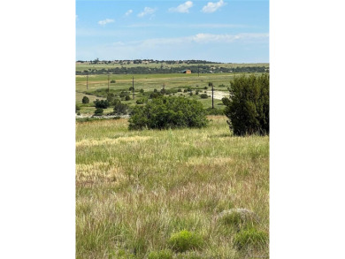 This property is one of over 140 individual lots being sold on Hollydot Golf Course in Colorado - for sale on GolfHomes.com, golf home, golf lot