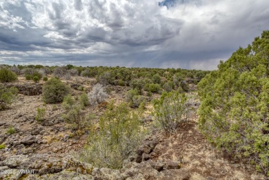 This exceptional 25,265 sq ft mountain parcel in White Mountain on Silver Creek Golf Club in Arizona - for sale on GolfHomes.com, golf home, golf lot