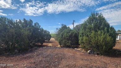Privileges to White Mountain Lake come with this .2 acre on Silver Creek Golf Club in Arizona - for sale on GolfHomes.com, golf home, golf lot