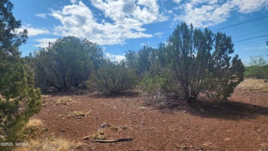 Privileges to White Mountain Lake come with this .2 acre on Silver Creek Golf Club in Arizona - for sale on GolfHomes.com, golf home, golf lot