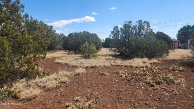 Privileges to White Mountain Lake come with this .2 acre on Silver Creek Golf Club in Arizona - for sale on GolfHomes.com, golf home, golf lot