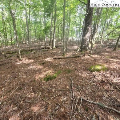 Beautiful buildable lot in the heart of Beech Mountain. VERY on Beech Mountain Club in North Carolina - for sale on GolfHomes.com, golf home, golf lot