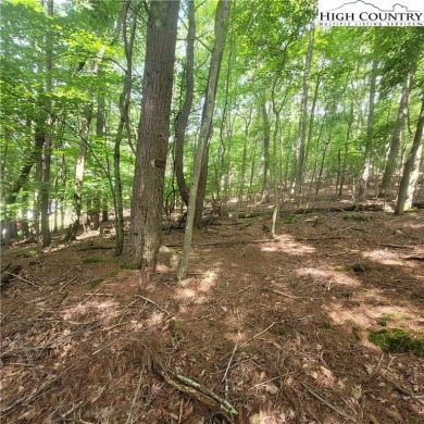 Beautiful buildable lot in the heart of Beech Mountain. VERY on Beech Mountain Club in North Carolina - for sale on GolfHomes.com, golf home, golf lot