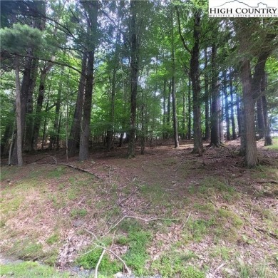 Beautiful buildable lot in the heart of Beech Mountain. VERY on Beech Mountain Club in North Carolina - for sale on GolfHomes.com, golf home, golf lot
