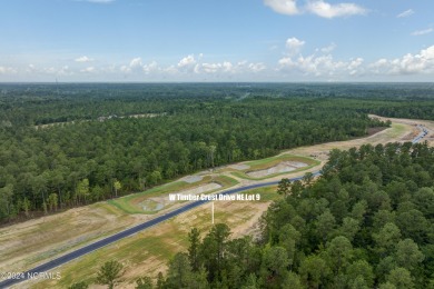 Discover the perfect setting for your dream home on this 0 on Compass Pointe Golf Course in North Carolina - for sale on GolfHomes.com, golf home, golf lot