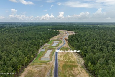 Discover the perfect setting for your dream home on this 0 on Compass Pointe Golf Course in North Carolina - for sale on GolfHomes.com, golf home, golf lot