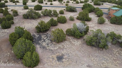 Amazing 0.47 level acres in Eaglecrest Subdivision ready to on Silver Creek Golf Club in Arizona - for sale on GolfHomes.com, golf home, golf lot